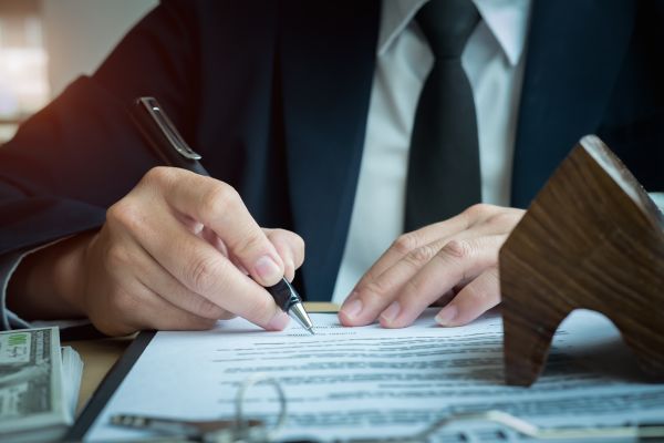 responsabilità penale importatore